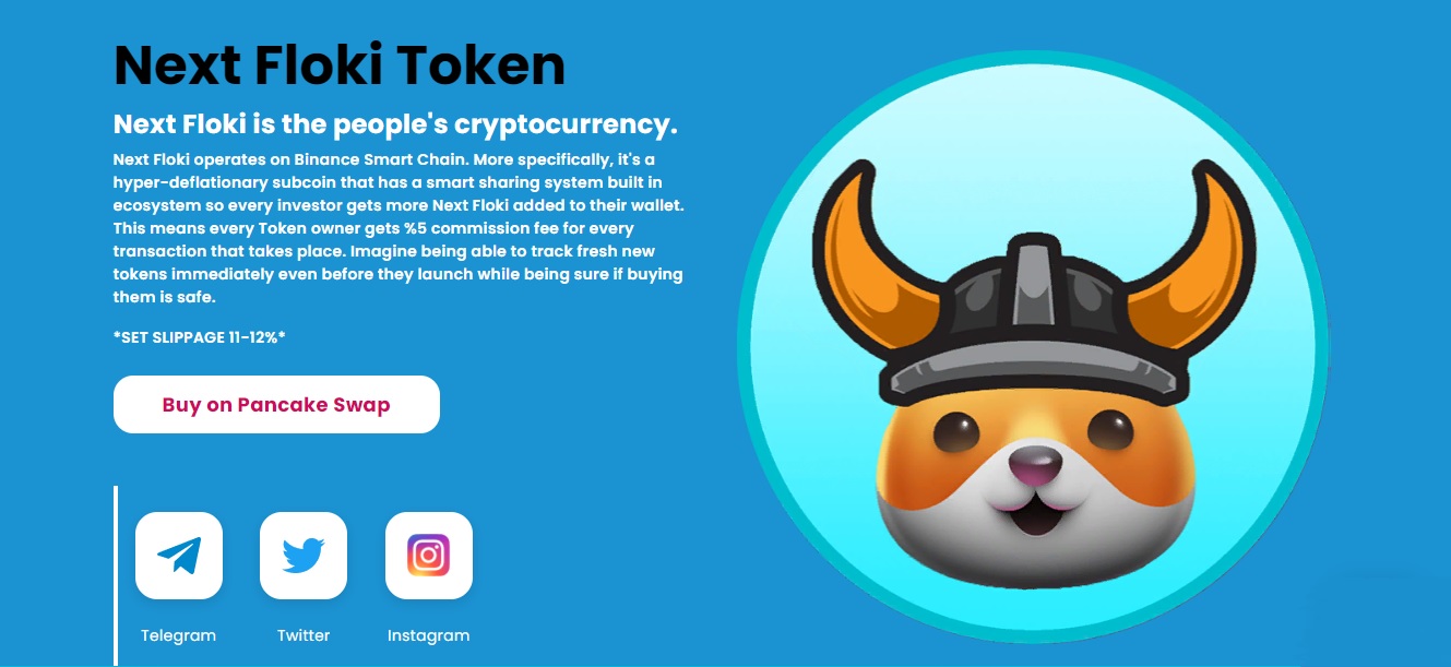 Next Floki - dapp.expert