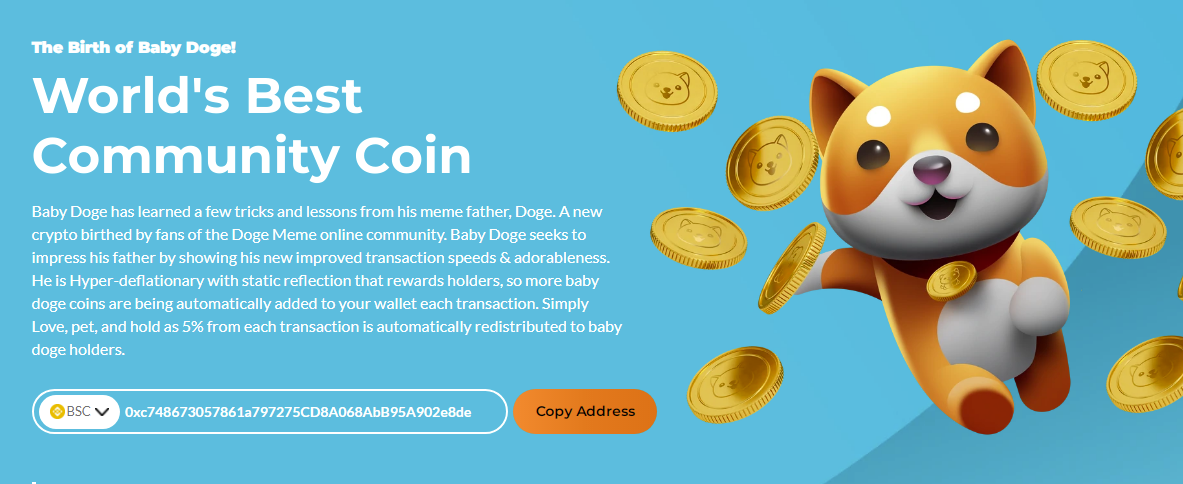 Baby Doge Coin high risk bsc - dapp.expert
