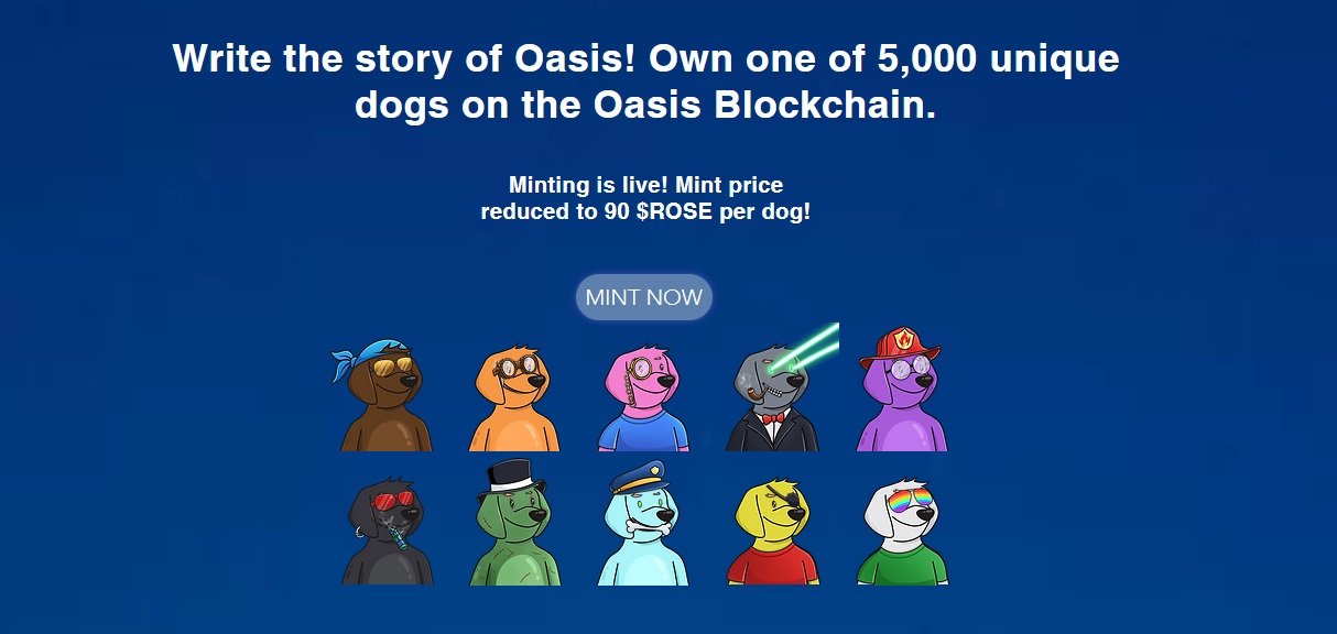 Oasis Dogs  - dapp.expert