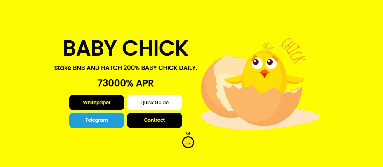Baby Chick - dapp.expert