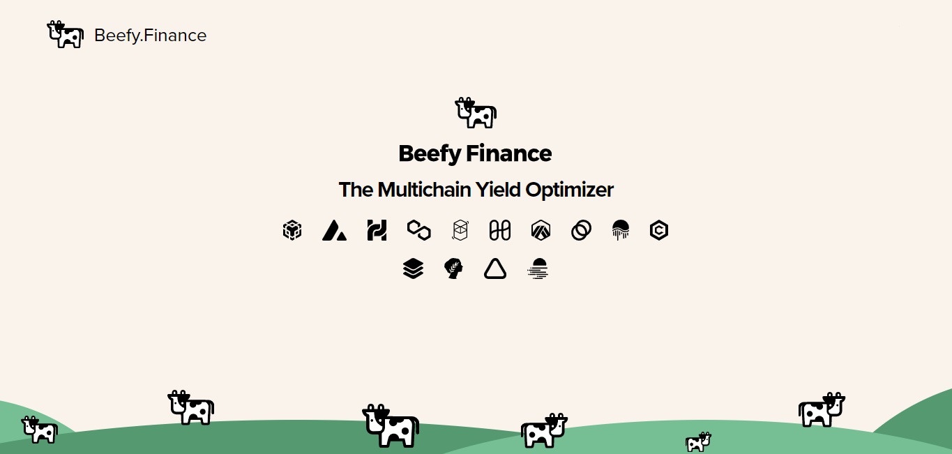 Beefy Finance - dapp.expert