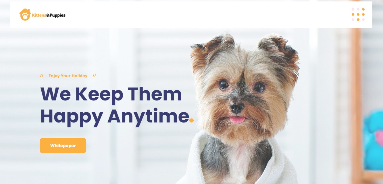 Kittens And Puppies - dapp.expert