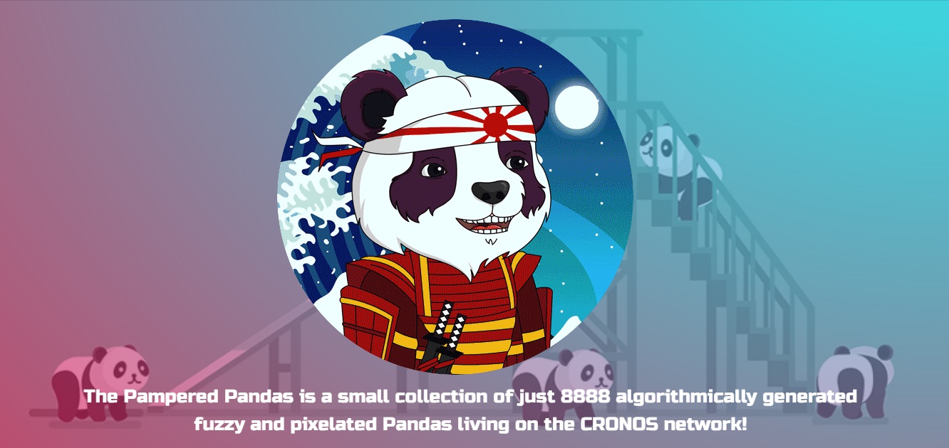 pampered-pandas-generate-random-nfts-dapp-expert