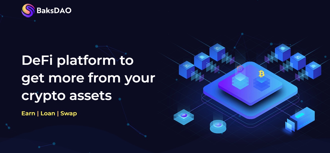 BaksDAO - dapp.expert