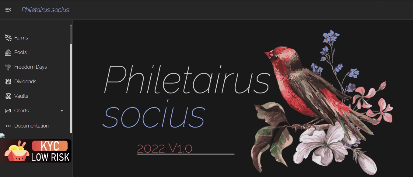Philetairus socius Philetairus socius - dapp.expert