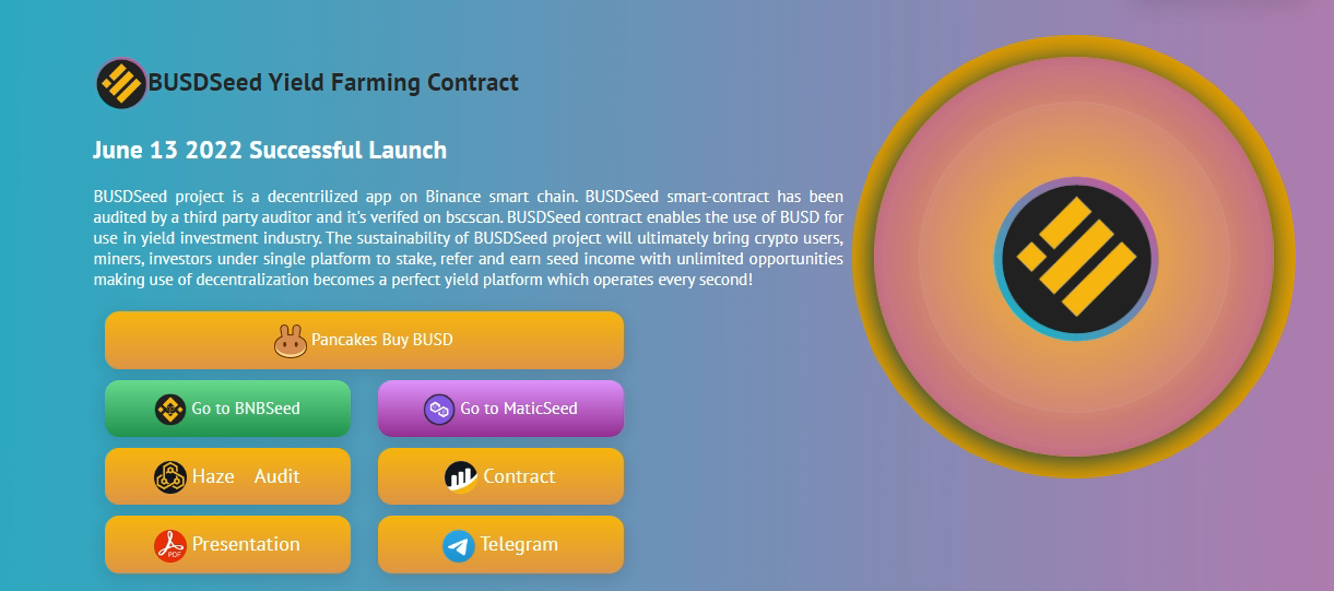BUSDSeed платформа