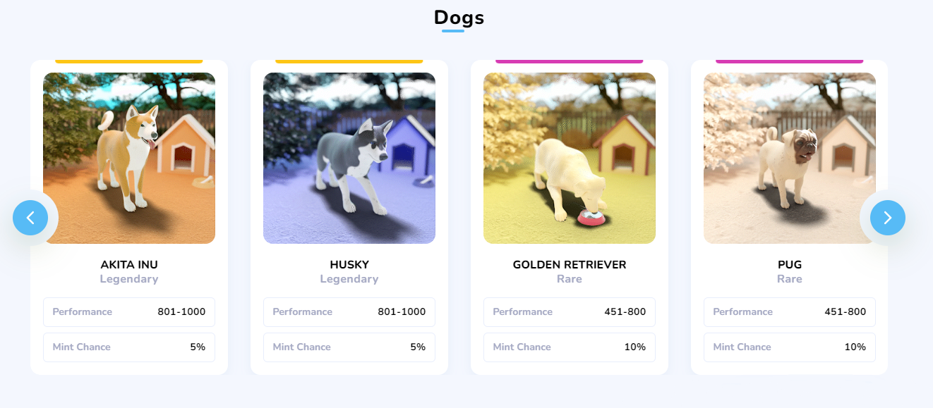 Walk Dogs - making money with an active lifestyle