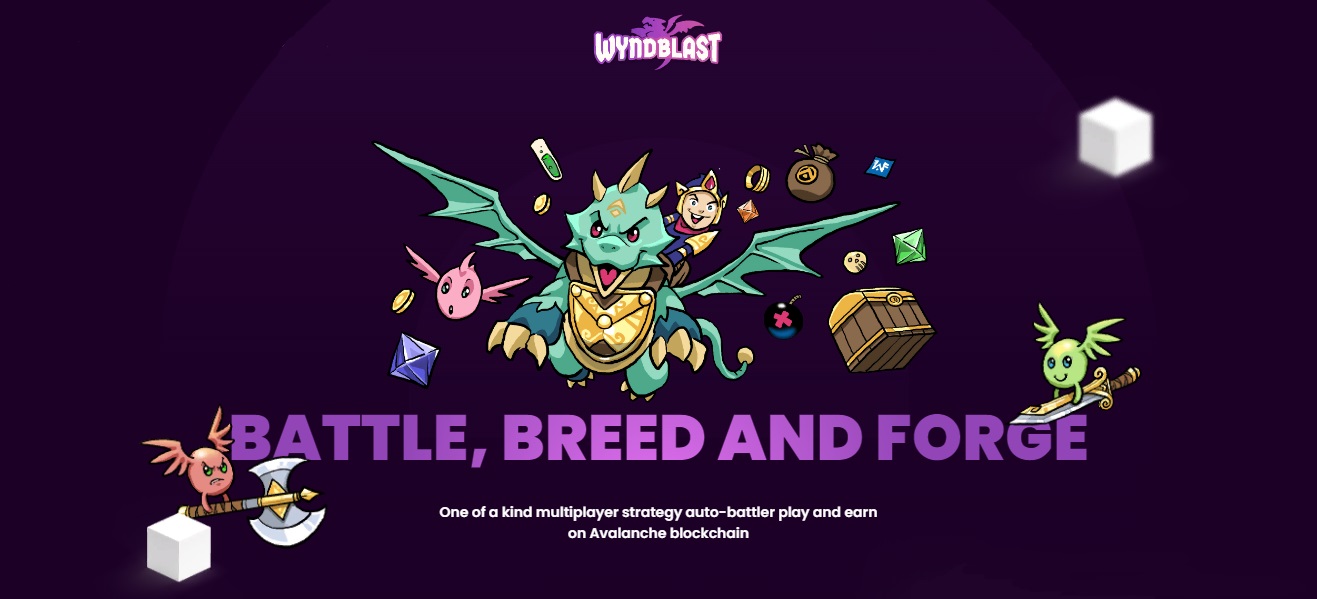 WyndBlast - a multiplayer game with 