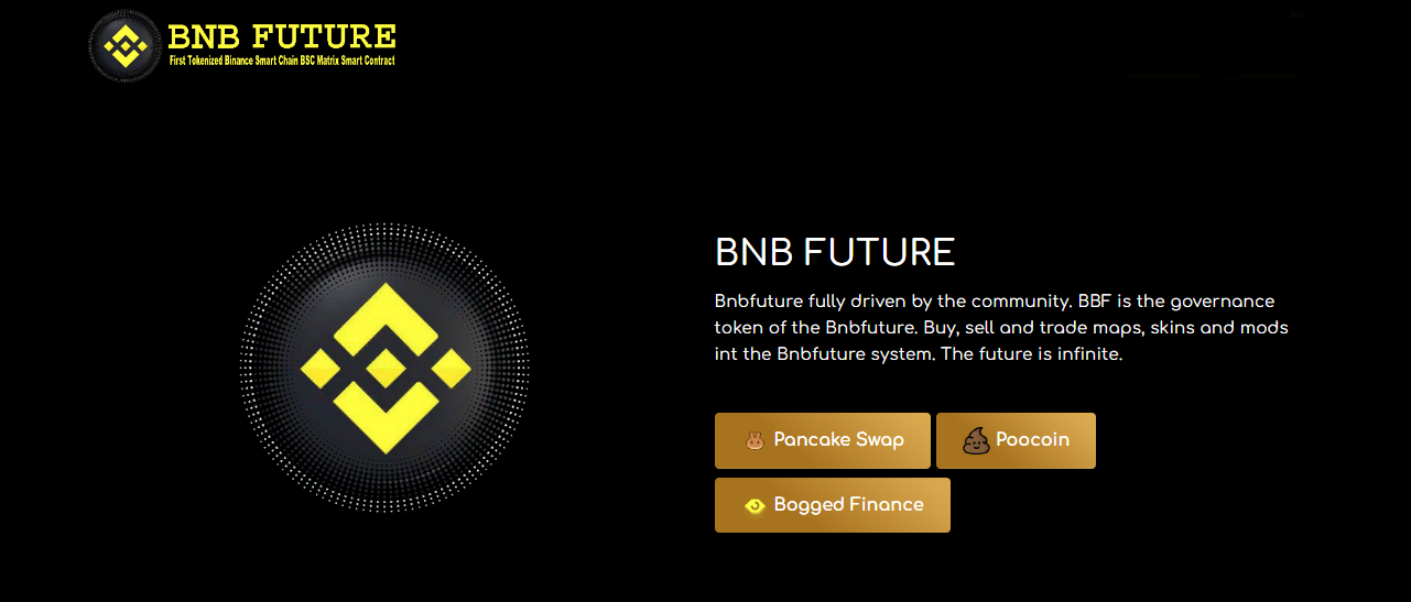 BNB FUTURE - an automatic program for earning rewards