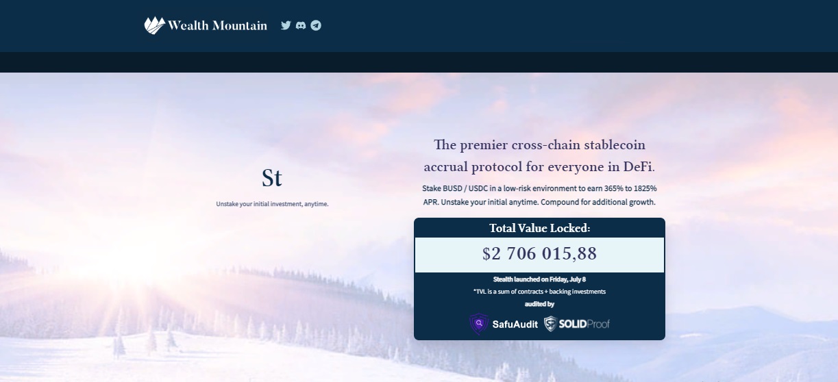 Wealth Mountain BSC - a project with a long-term vision
