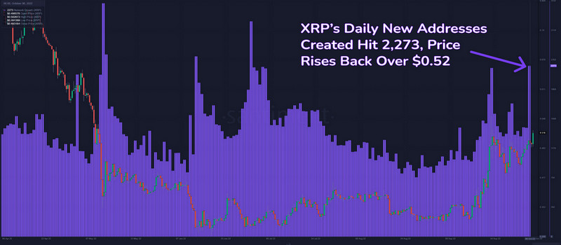 XRP отмечает активный рост числа пользователей - news
