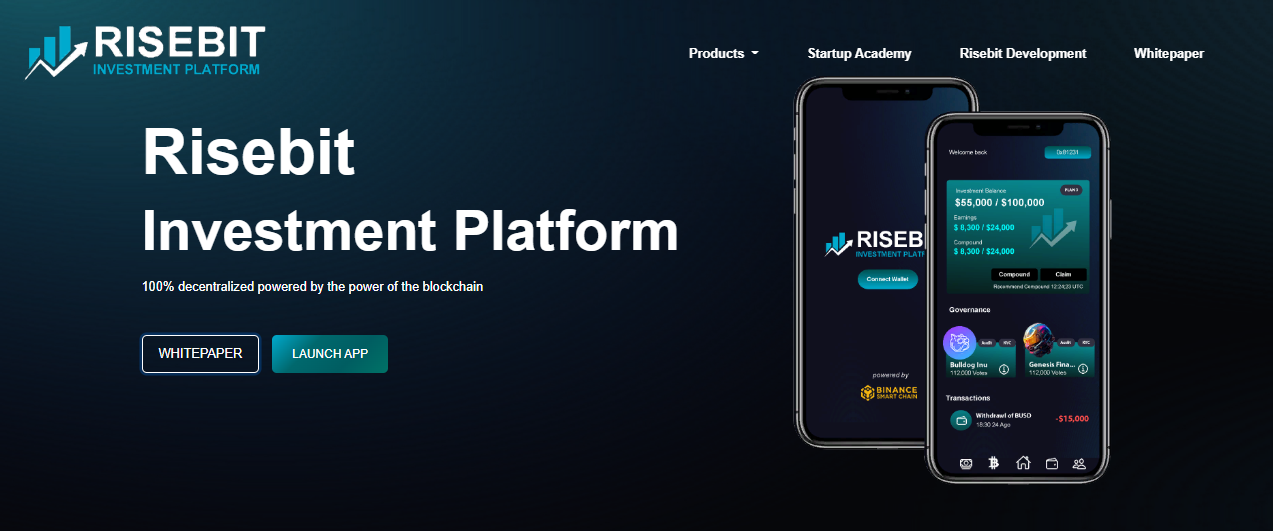 Risebit Platform Investment