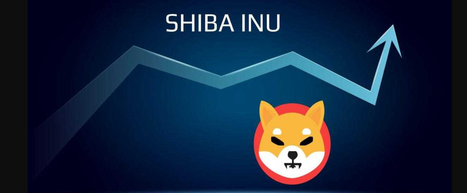 Shiba Inu cryptocurrency