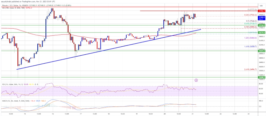 BTC/USD 