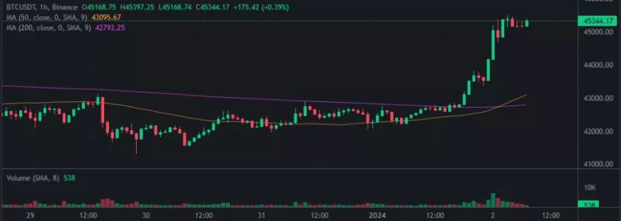 Hourly BTC/USDT chart on Binance exchange