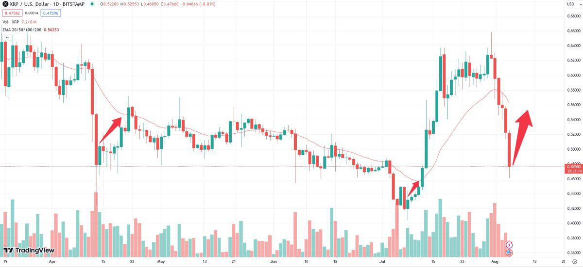 Криптовалютные киты активно покупают XRP - news