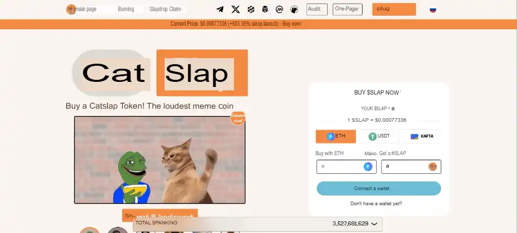 Catslap Project