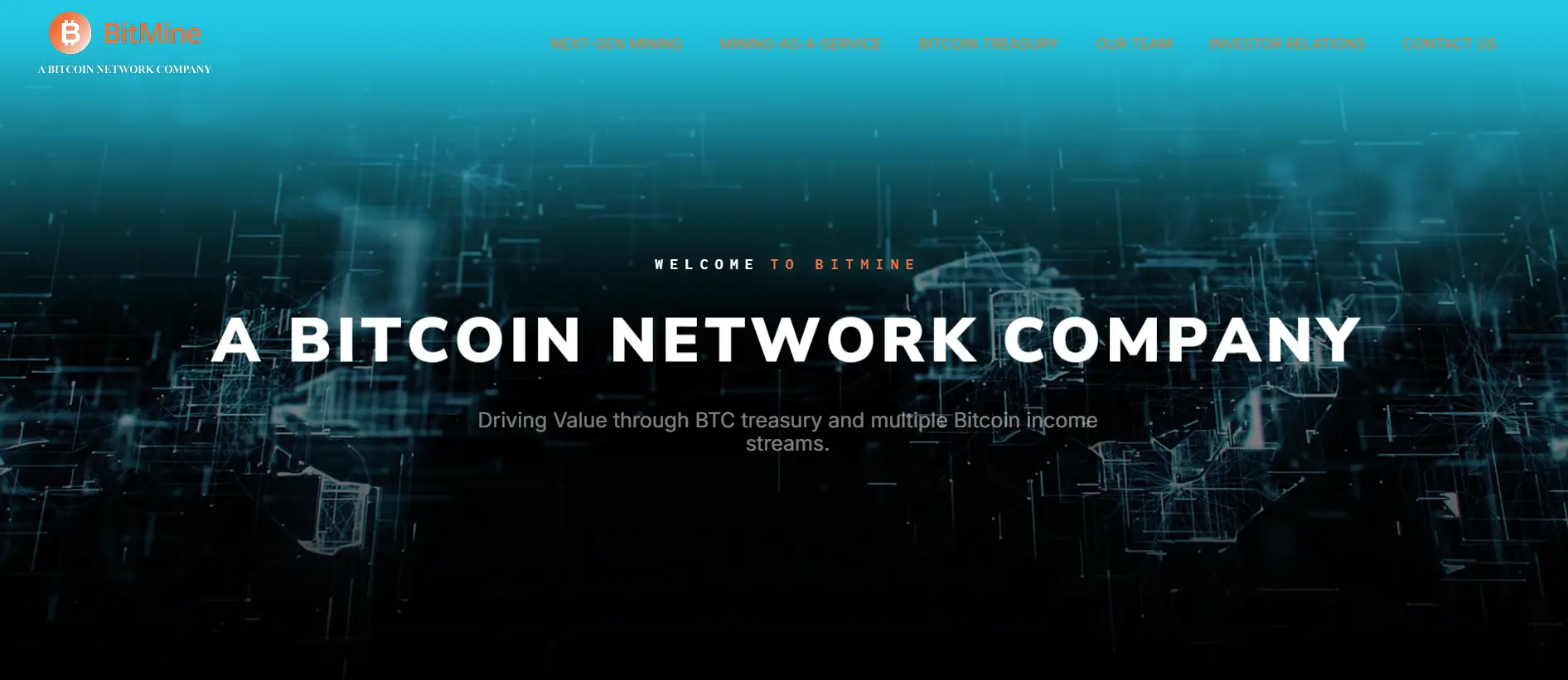 BitMine Immersion Technologies — компания для корпоративного майнинга