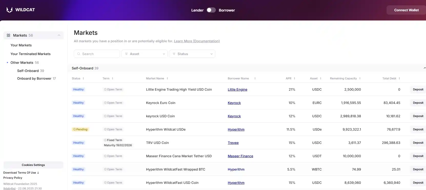 DeFi-протокол Wildcat Labs