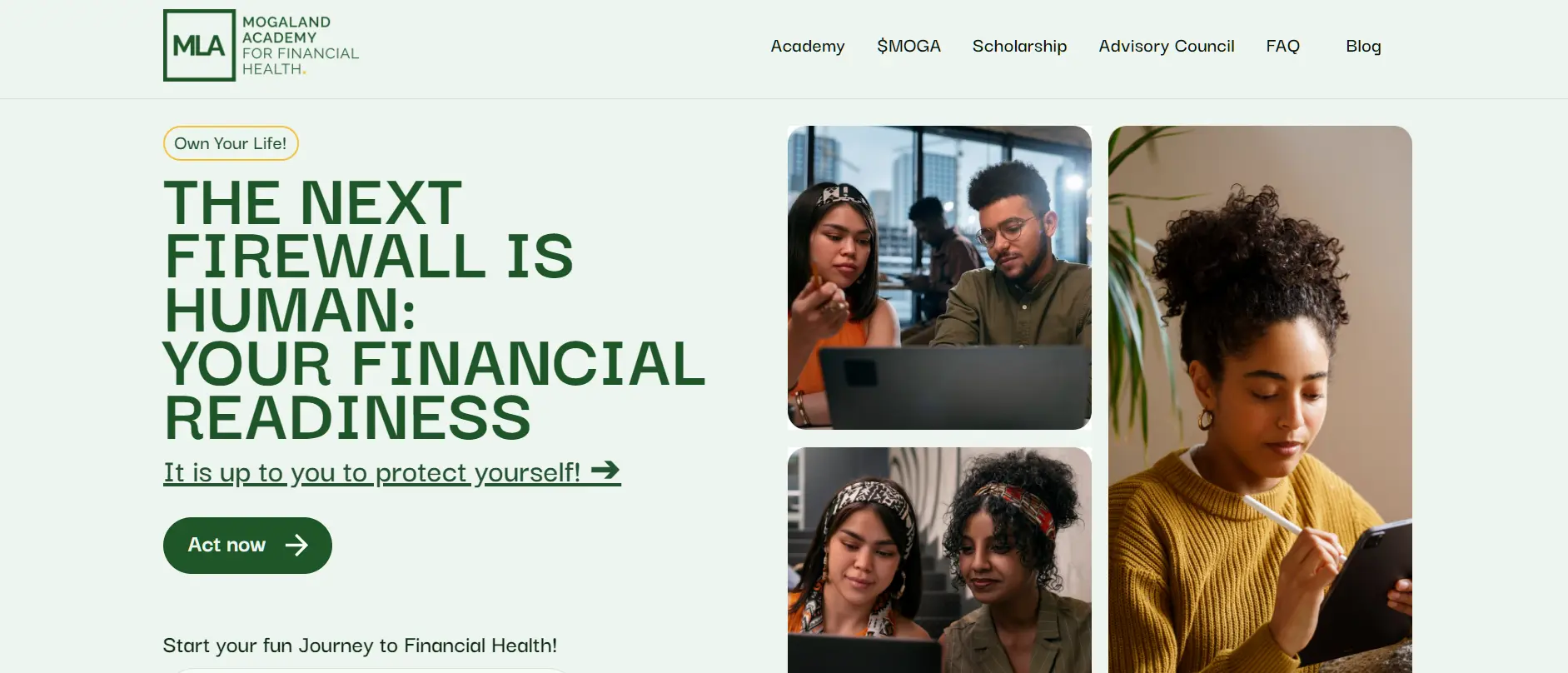 Mogaland — educational platform for gamification and Web