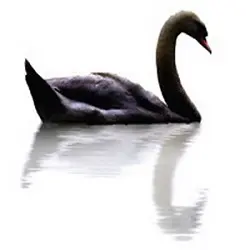 Universal Crypto Investment Fund logo