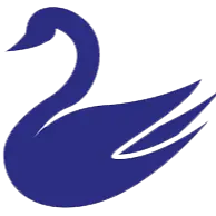 DrakeSwap logo