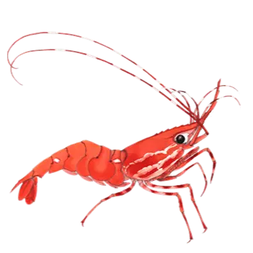 Just Shrimp Farmer logo