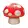 Mushrooms Finance logo