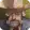 Staking Saloon logo