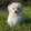 TronDogs logo