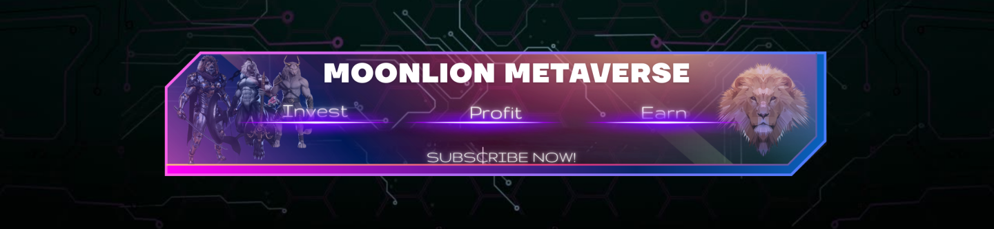 Moonlion Metaverse user profile
